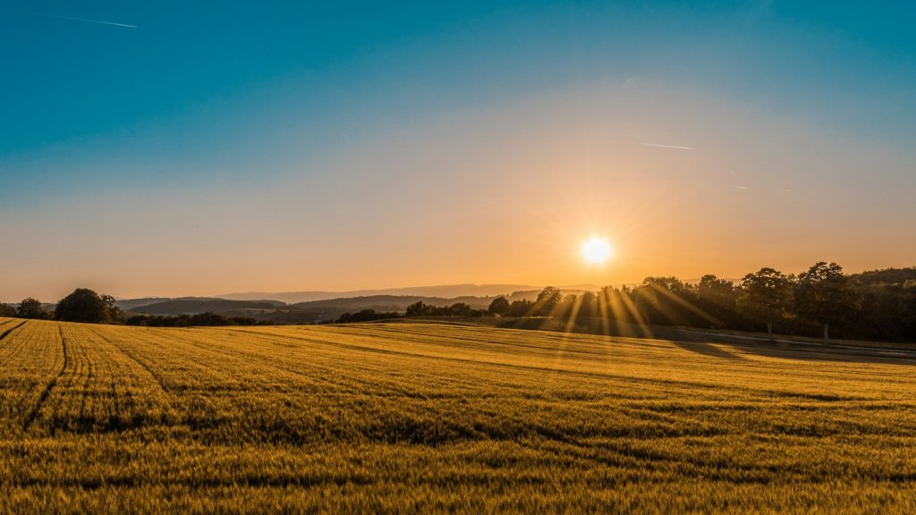 Terrain de campagne en autonomie
